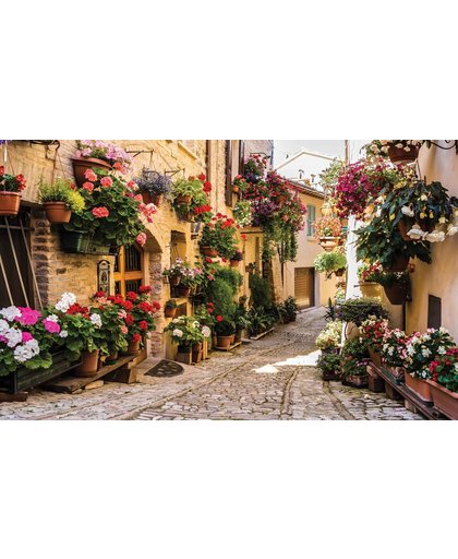 Fotobehang Mediteranean With Flowers | XXXL - 416cm x 254cm | 130g/m2 Vlies