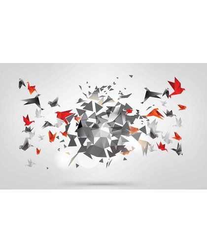 Fotobehang Explosion Birds Abstract | XL - 208cm x 146cm | 130g/m2 Vlies
