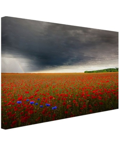 Rode bloemen grijze lucht foto Canvas 120x80 cm - Foto print op Canvas schilderij (Wanddecoratie)