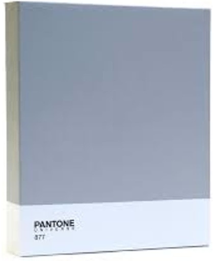 Pantone Art Schilderij Classic Zilver - 30x25cm