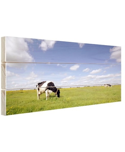 Koeien in een weiland Hout 60x40 cm - Foto print op Hout (Wanddecoratie)