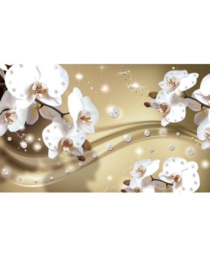 Fotobehang Flowers Orchids Pattern | L - 152.5cm x 104cm | 130g/m2 Vlies