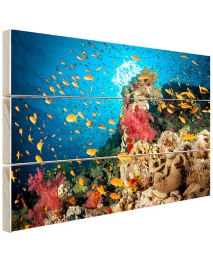 Koraal met vissen Hout 160x120 cm - Foto print op Hout (Wanddecoratie)