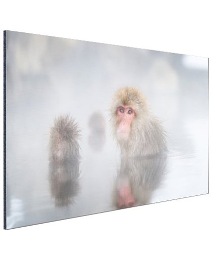 Sneeuwapen in de mist Aluminium 120x80 cm - Foto print op Aluminium (metaal wanddecoratie)