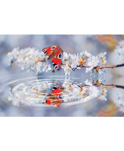 Fotobehang Butterfly Flower Scene | XXXL - 416cm x 254cm | 130g/m2 Vlies