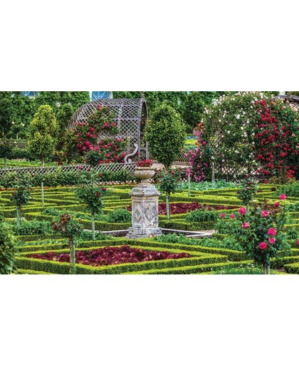 Fotobehang Rose Garden | XL - 208cm x 146cm | 130g/m2 Vlies