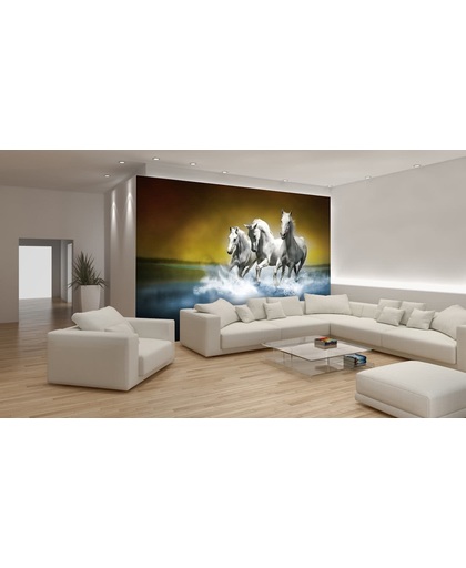 Fotobehang Paarden | Blauw, Wit | 104x70,5cm