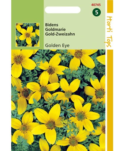 Hortitops Zaden - Bidens Humilis Golden Eye