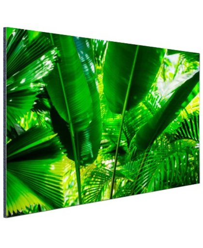 Tropische bladeren in jungle  Aluminium 30x20 cm - Foto print op Aluminium (metaal wanddecoratie)