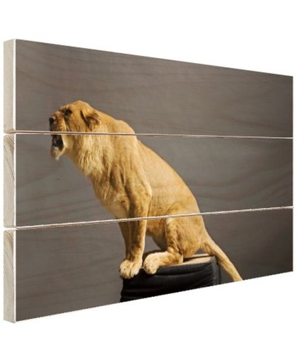Leeuwin zit op een platform Hout 30x20 cm - Foto print op Hout (Wanddecoratie)