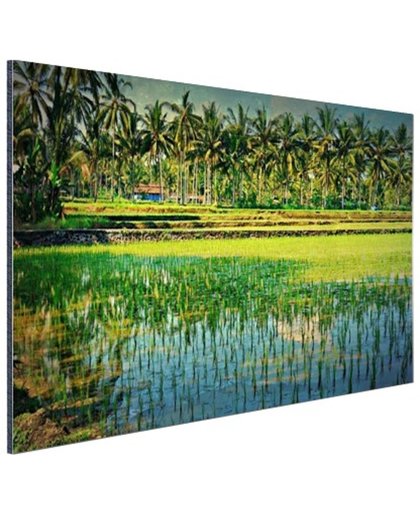Rijstvelden en palmbomen in Azie Aluminium 30x20 cm - Foto print op Aluminium (metaal wanddecoratie)