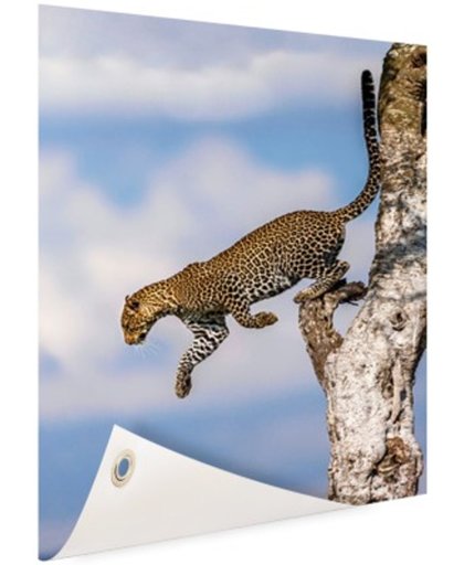 Springende luipaard Tuinposter 80x120 cm - Foto op Tuinposter (tuin decoratie)
