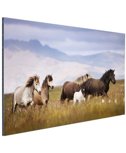 Paarden in de bergen Aluminium 30x20 cm - Foto print op Aluminium (metaal wanddecoratie)