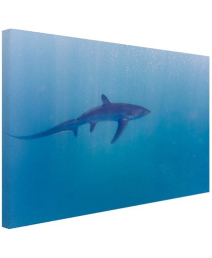 Alopias haai Canvas 80x60 cm - Foto print op Canvas schilderij (Wanddecoratie)