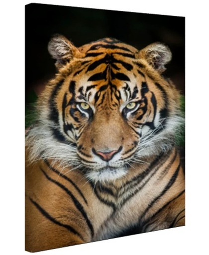 Sumatraanse tijger zwarte achtergrond Canvas 40x60 cm - Foto print op Canvas schilderij (Wanddecoratie)
