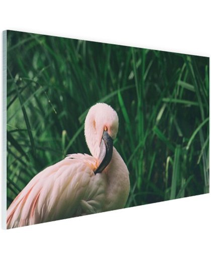 Roze flamingo in het riet Glas 30x20 cm - Foto print op Glas (Plexiglas wanddecoratie)