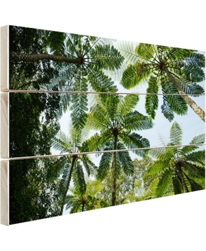 Bomen en bladeren in jungle Hout 80x60 cm - Foto print op Hout (Wanddecoratie)