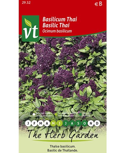 Basilicum Thai