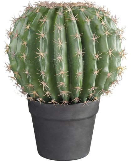 Kunstplant Cactus bol met sierpot (33x25 cm)