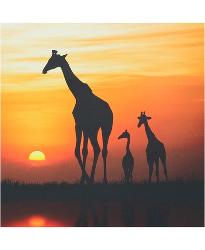 LABEL51 - Canvas - Africa Sunset