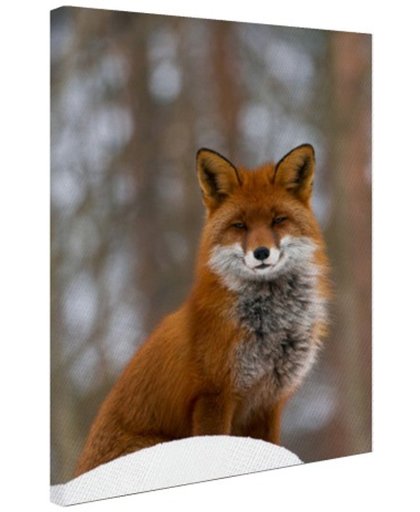 Rode vos in het bos Canvas 60x80 cm - Foto print op Canvas schilderij (Wanddecoratie)