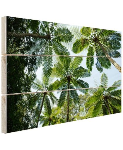 Bomen en bladeren in jungle Hout 80x60 cm - Foto print op Hout (Wanddecoratie)