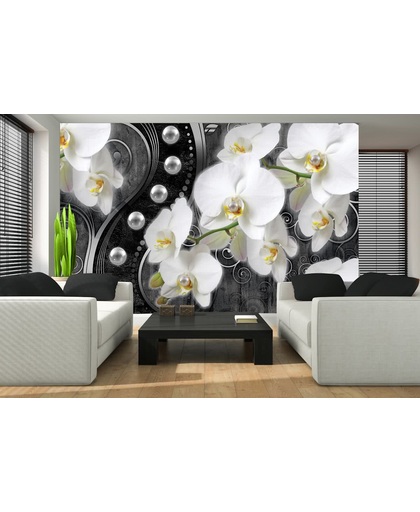 Fotobehang Orchidee, Bloemen | Wit, Zwart | 312x219cm