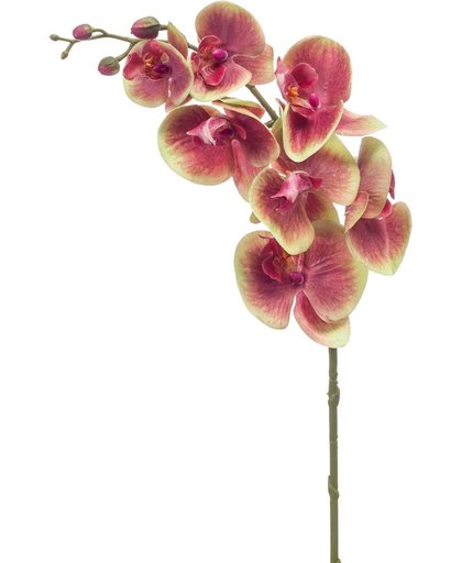 Kunst orchidee / phalaenopsis 83cm fuchsia/green