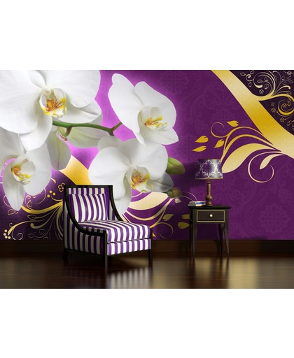 Fotobehang Bloemen, Orchidee | Paars | 416x254