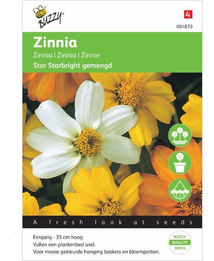 Buzzy® Zinnia angust Star Starbright mixed