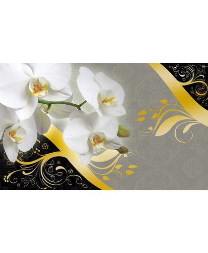 Fotobehang Bloemen, Orchidee | Grijs | 104x70,5cm