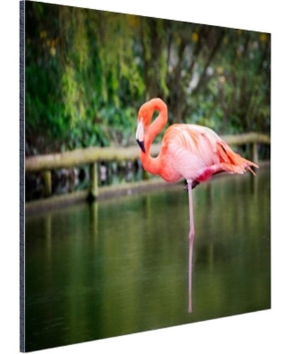 Een roze flamingo Aluminium 30x20 cm - Foto print op Aluminium (metaal wanddecoratie)