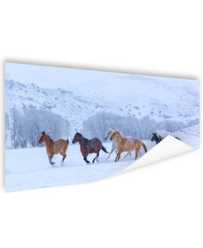 Kudde paarden in de sneeuw Poster 60x40 cm - Foto print op Poster (wanddecoratie)