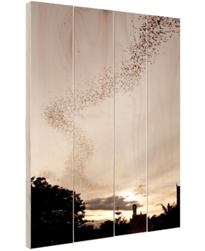 Grote groep vleermuizen Hout 20x30 cm - Foto print op Hout (Wanddecoratie)