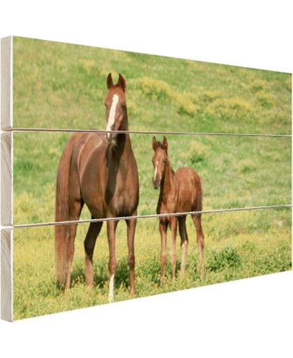 Bruin paard met jong Hout 60x40 cm - Foto print op Hout (Wanddecoratie)