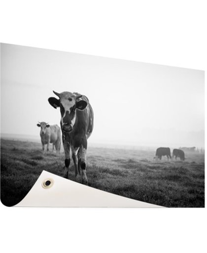 Zwart-wit koeien Tuinposter 120x80 cm - Foto op Tuinposter (tuin decoratie)