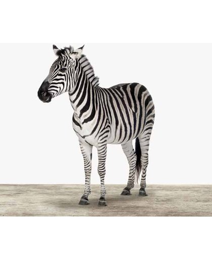 Zebra - Print op Vurenhout - 60x60 cm