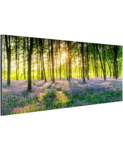 Kleurrijke bloemen in het bos Aluminium 90x60 cm - Foto print op Aluminium (metaal wanddecoratie)