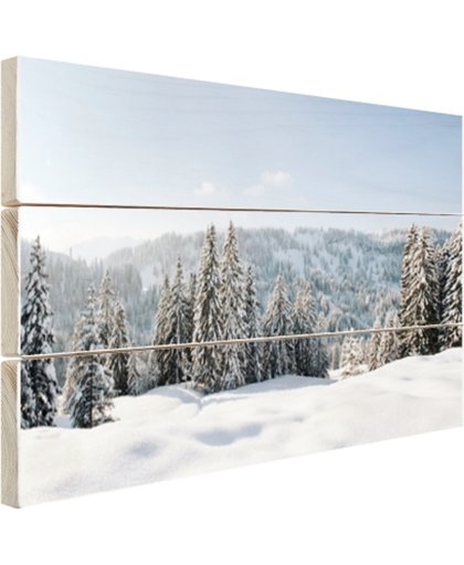 Besneeuwd landschap in Duitsland Hout 60x40 cm - Foto print op Hout (Wanddecoratie)