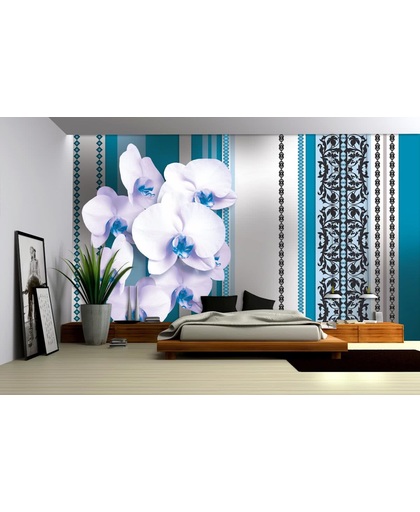 Fotobehang Bloemen, Orchidee | Turquoise, Wit | 416x254
