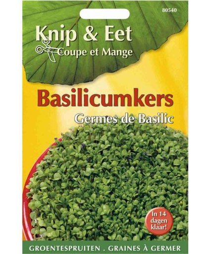 Basilicumkers - Knip en eet - set van 7 stuks