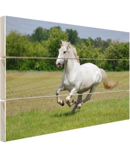 Rennend wit paard Hout 60x40 cm - Foto print op Hout (Wanddecoratie)