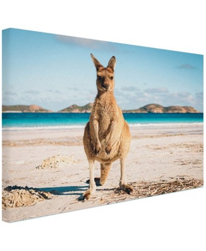 Kangoeroe op het strand Australie Canvas 80x60 cm - Foto print op Canvas schilderij (Wanddecoratie)