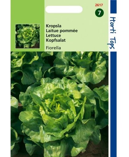 Kropsla Fiorella -  Lactuca sativa - set van 3 stuks