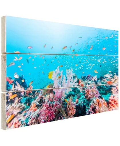 Kleurrijk rif en koraal Hout 120x80 cm - Foto print op Hout (Wanddecoratie)