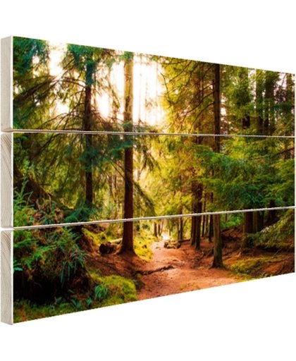 Een bospaadje door Amerikaans bos Hout 80x60 cm - Foto print op Hout (Wanddecoratie)