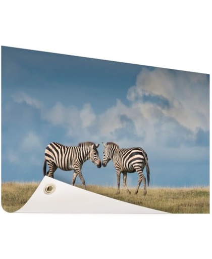 Verliefde zebras fotoafdruk Tuinposter 60x40 cm - Foto op Tuinposter (tuin decoratie)