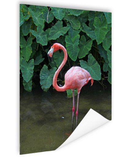 Een flamingo met planten achtergrond Poster 80x120 cm - Foto print op Poster (wanddecoratie)