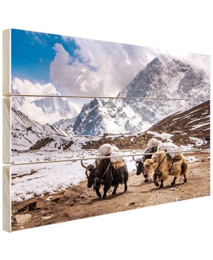 Jaks in de bergen Nepal Hout 80x60 cm - Foto print op Hout (Wanddecoratie)