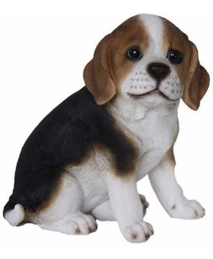 Dierenbeeldje Beagle hond pup type 1 20 cm - binnen/buiten beeldje